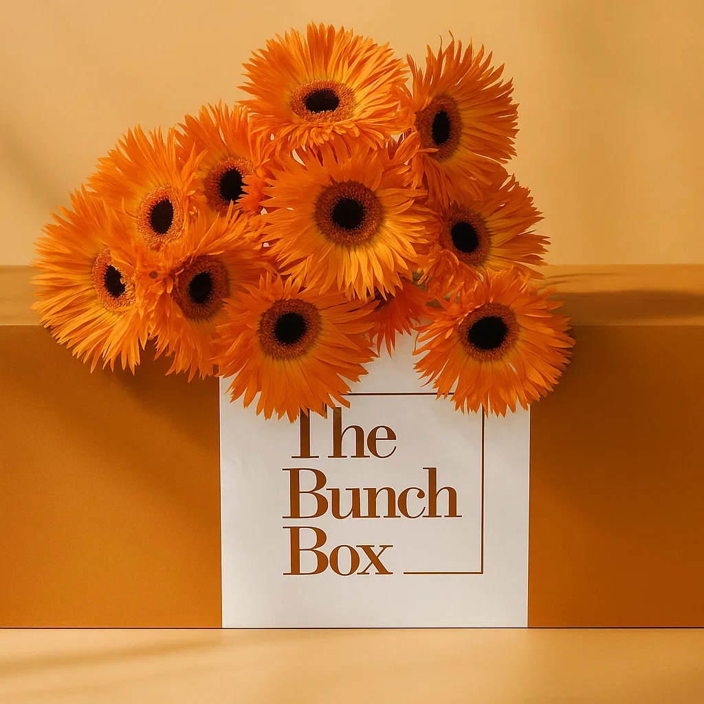 mono-bunch-shop-by-collection