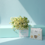 Tanacetum Daisy and Loacker Biscuit Box features ten stems of whimsical, fresh Tanacetum daisies paired with 200g of buttery Loison Canestrello biscuits. Presented in our signature mint green long-form gift box, this set offers a sophisticated yet playful gifting solution that blends rustic botanical charm with the heritage of premium Italian confectionery. It is a delightful choice for brightening someone's day with a touch of natural elegance.